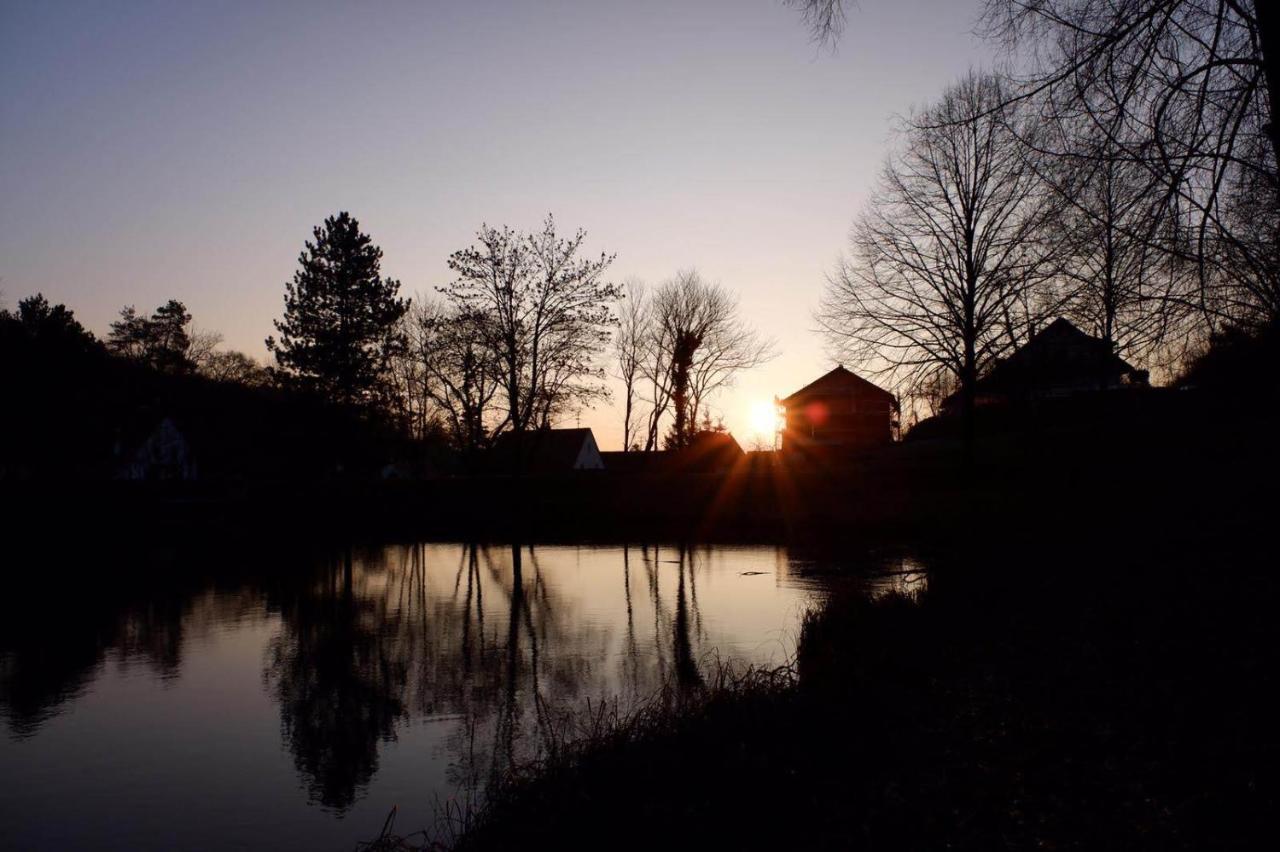 Gaestehaus Gerhardt Schweigen-Rechtenbach Esterno foto