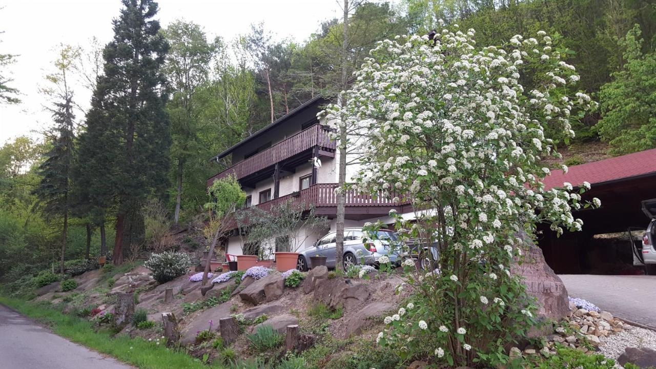Gaestehaus Gerhardt Schweigen-Rechtenbach Esterno foto
