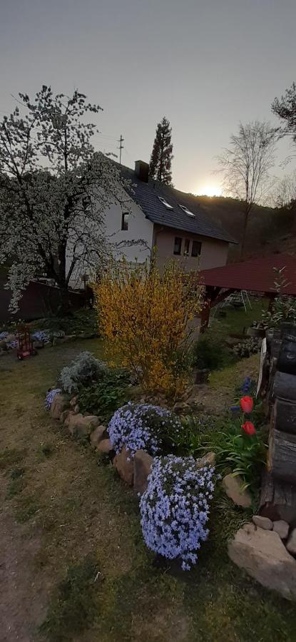 Gaestehaus Gerhardt Schweigen-Rechtenbach Esterno foto