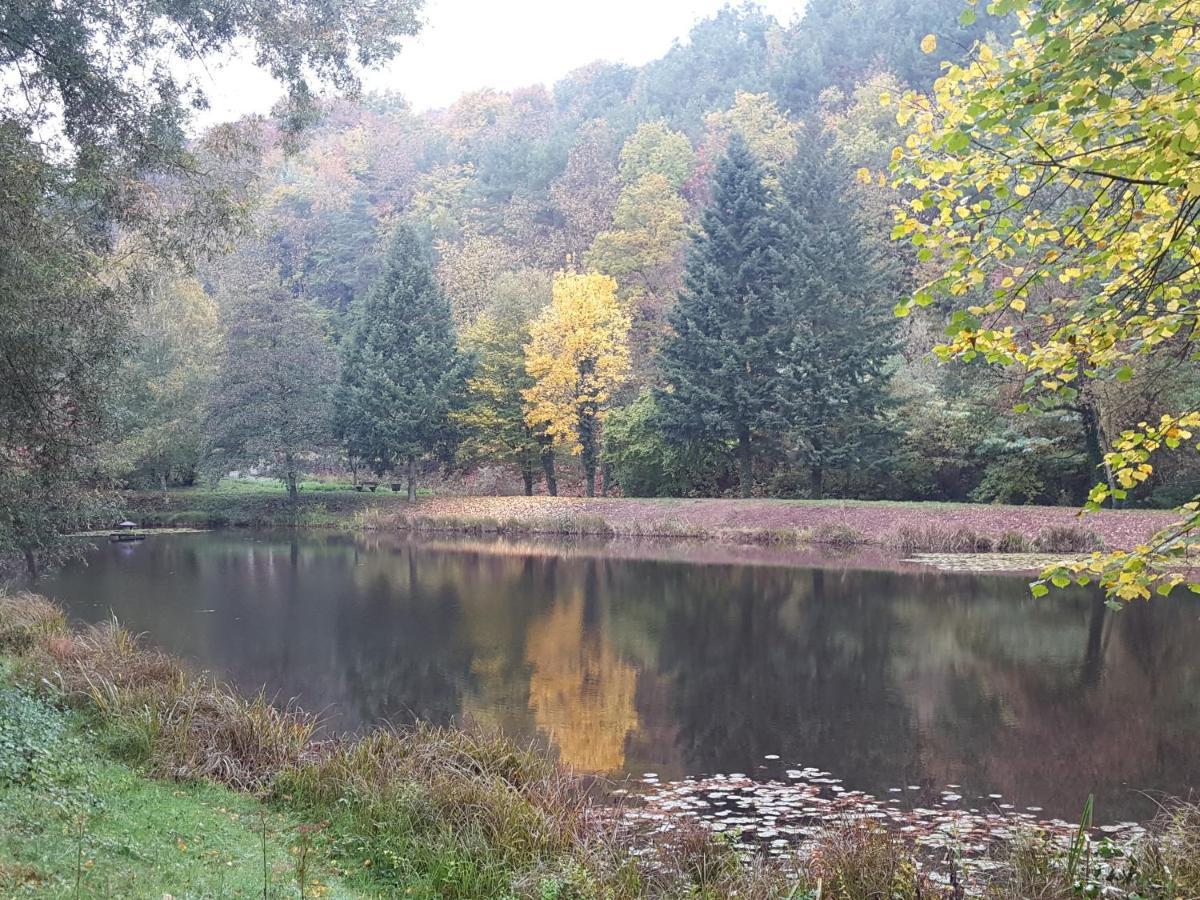 Gaestehaus Gerhardt Schweigen-Rechtenbach Esterno foto