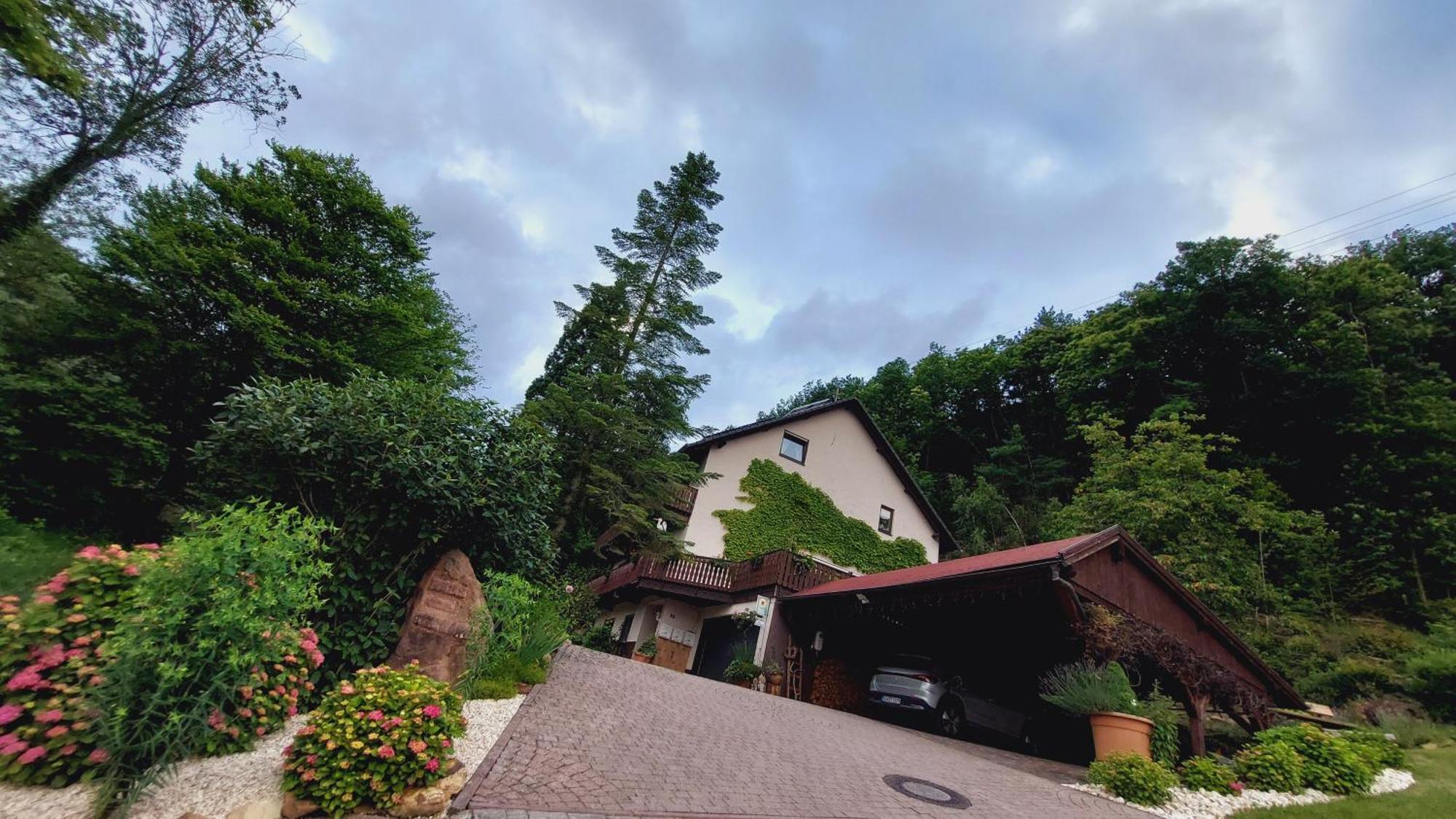 Gaestehaus Gerhardt Schweigen-Rechtenbach Esterno foto