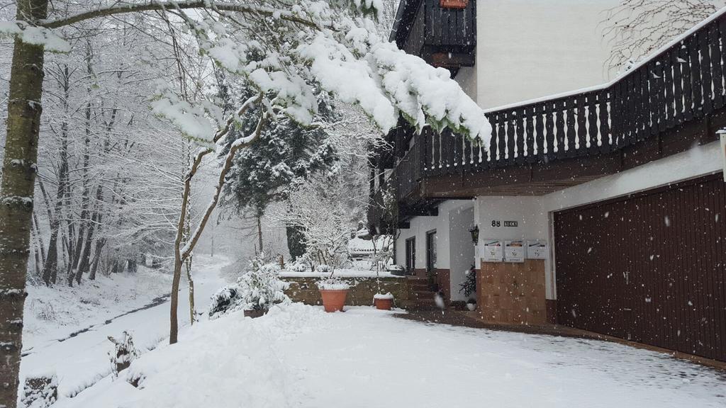 Gaestehaus Gerhardt Schweigen-Rechtenbach Esterno foto
