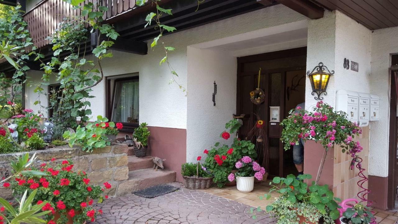 Gaestehaus Gerhardt Schweigen-Rechtenbach Esterno foto