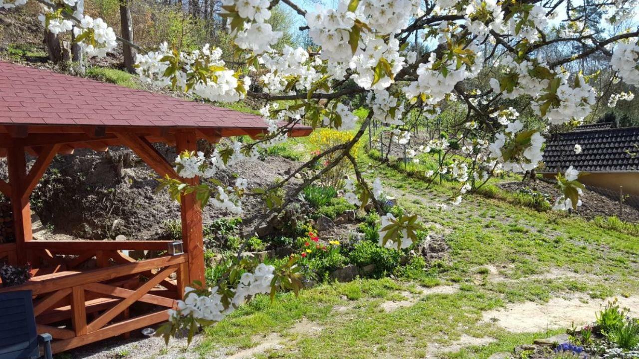 Gaestehaus Gerhardt Schweigen-Rechtenbach Esterno foto